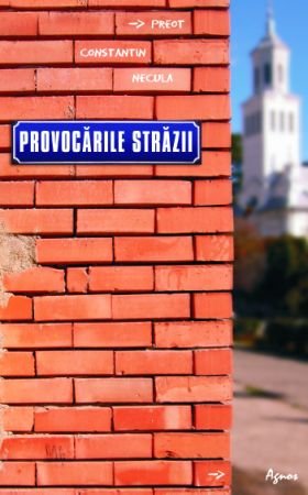 <b> Provocarile strazii </b> <br> Pr. Constantin Necula